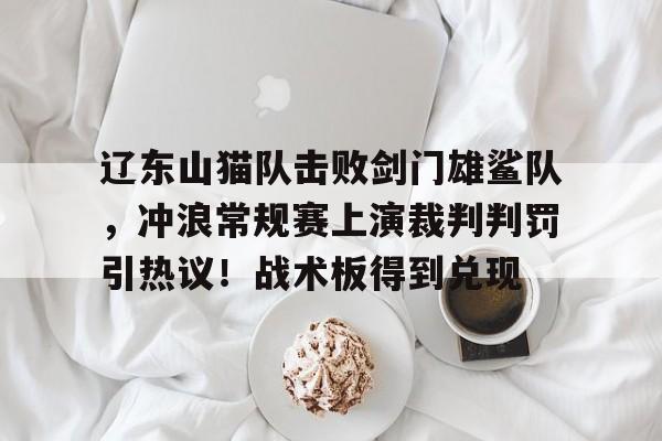 ayx体育辽东山猫队击败剑门雄鲨队，冲浪常规赛上演裁判判罚引热议！战术板得到兑现的简单介绍